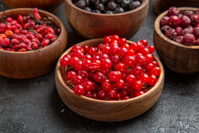 Cranberry