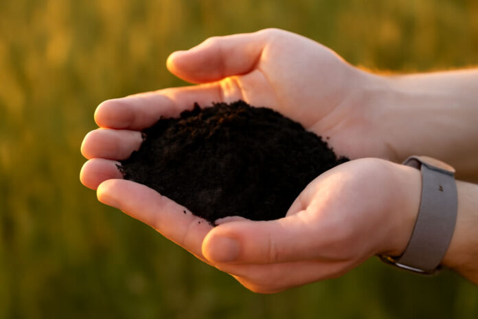 How Biochar Transforms Waste into Lasting Carbon Solutions for Climate Action